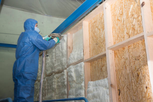 Best Professional Insulation Contractor  in Kaunakakai, HI